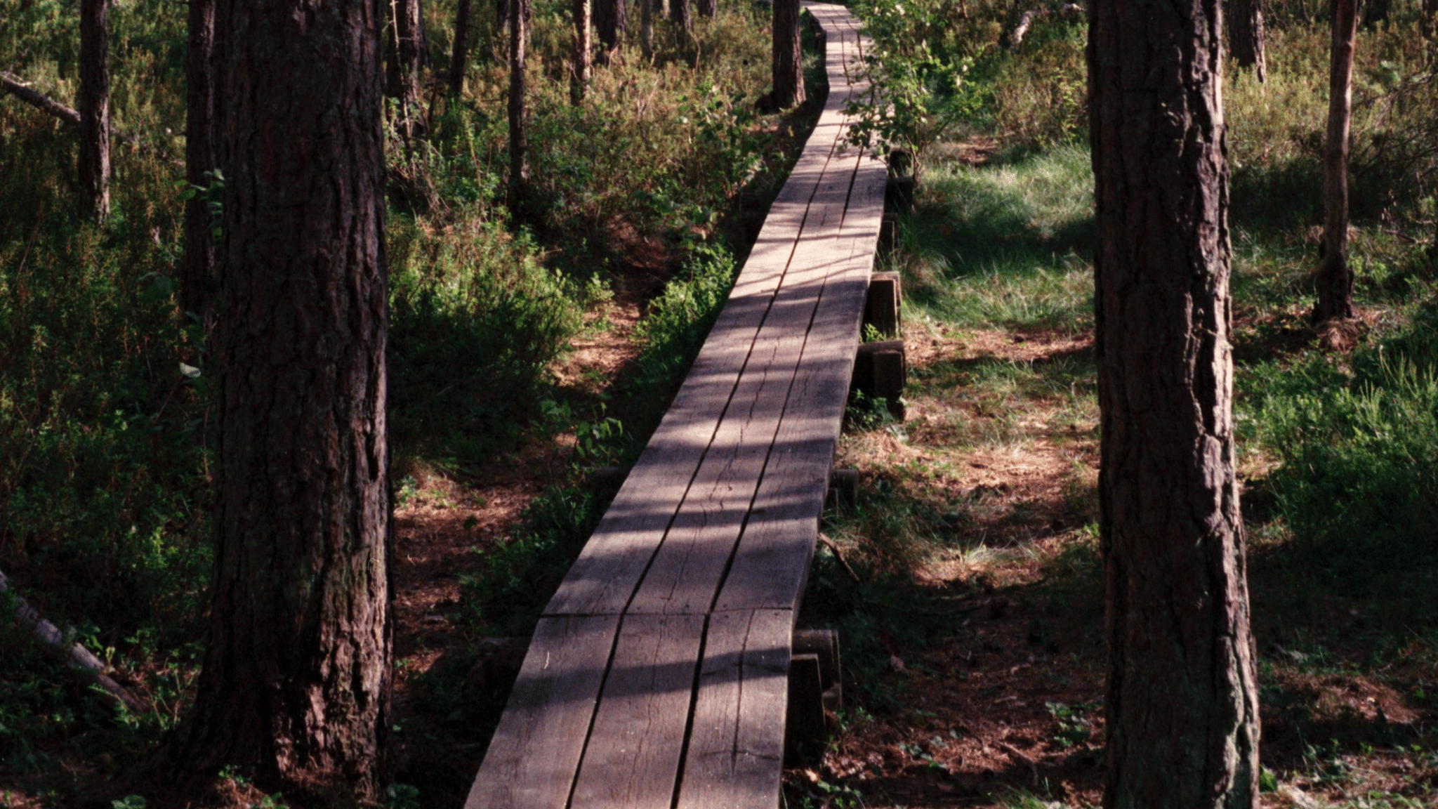 Klimat och natur i Haninge