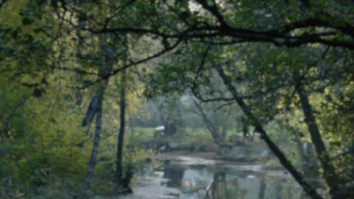 Gudöbroleden i Haninge där Liberalerna vill minska trängseln och förbättra trafiksäkerheten