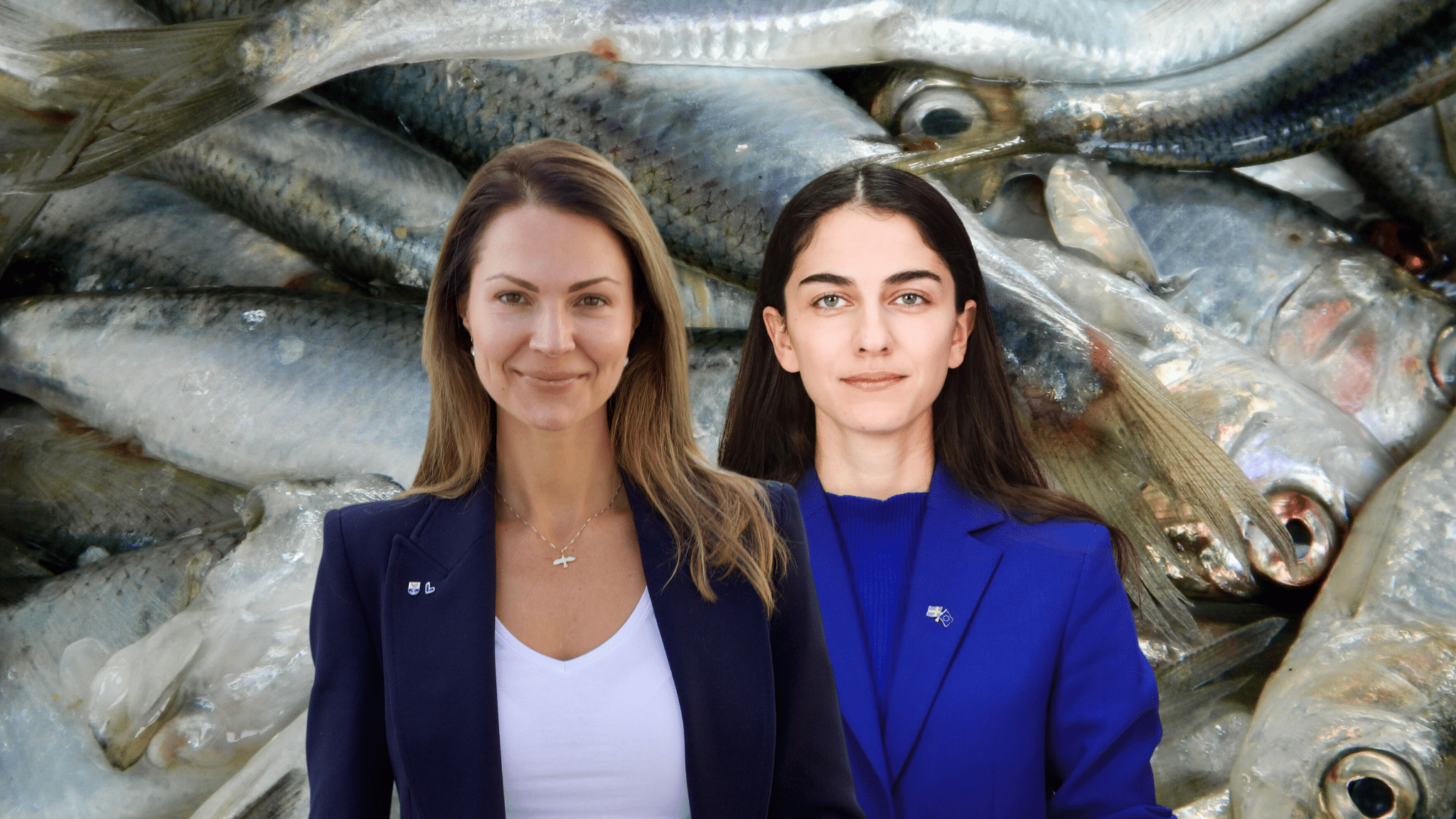 Strömming i stim utanför Stockholms skärgård skyddad från trålning.