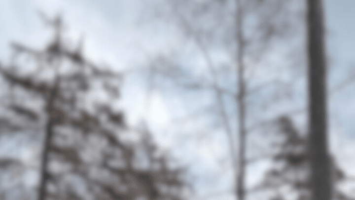 Ny idrottshall i Vendelsömalm som omfattas av nolltaxa för barn och unga