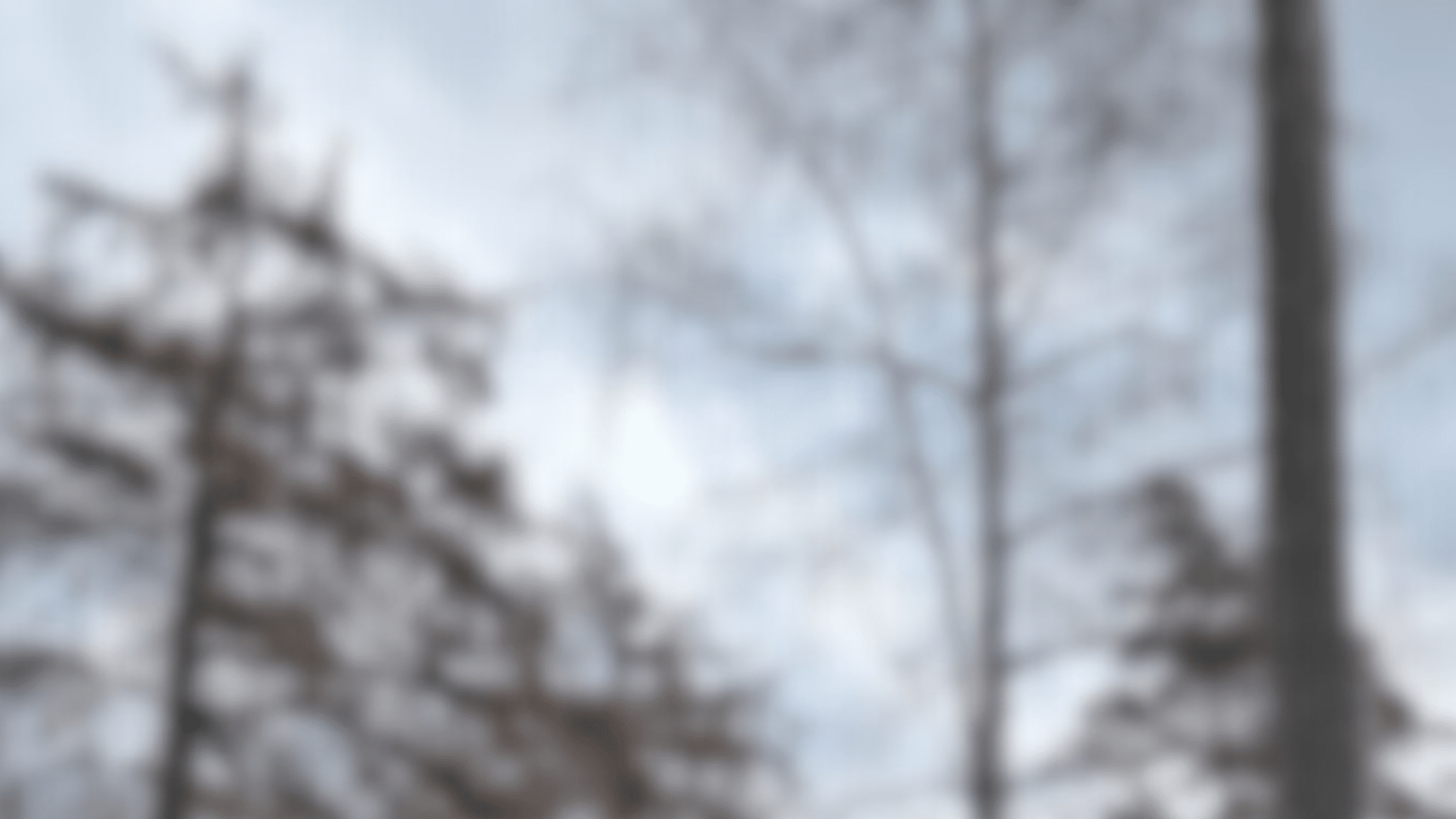 Ny idrottshall i Vendelsömalm som omfattas av nolltaxa för barn och unga